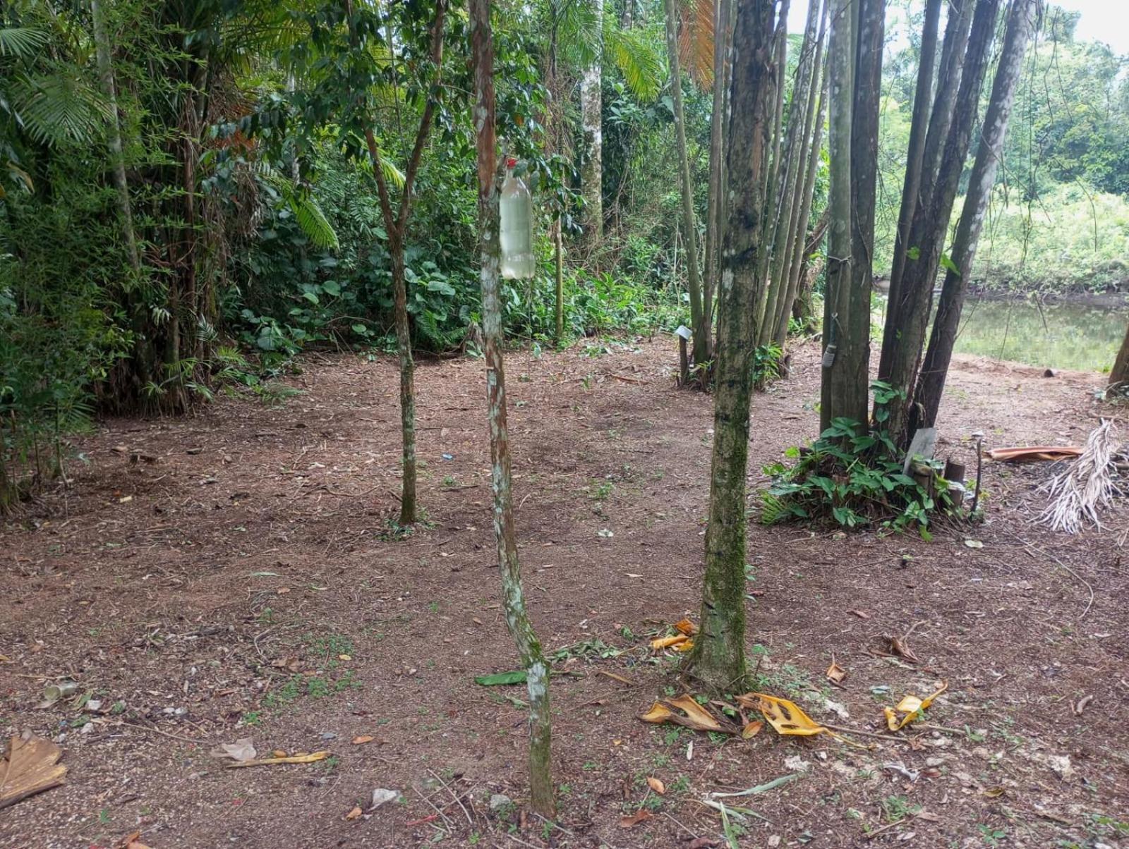 Camping Monte Hermom Ubatuba Extérieur photo